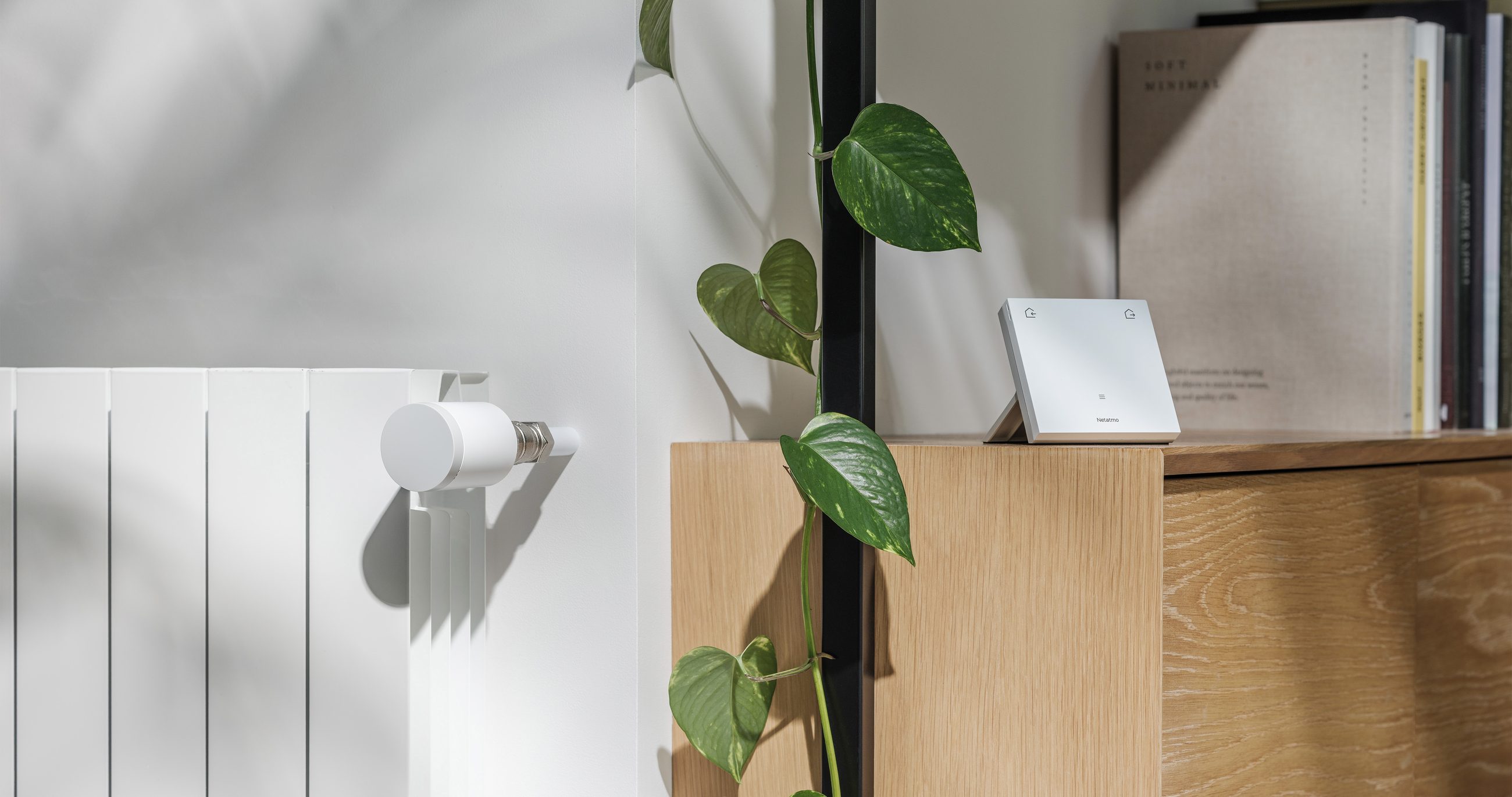 Une tête thermostatique sur un radiateur blanc et le Thermostat ORIGINAL posé sur un meuble en bois, près d'une plante